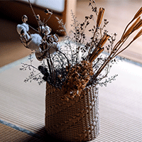 ドライフラワーセット